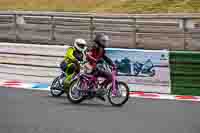 Vintage-motorcycle-club;eventdigitalimages;mallory-park;mallory-park-trackday-photographs;no-limits-trackdays;peter-wileman-photography;trackday-digital-images;trackday-photos;vmcc-festival-1000-bikes-photographs